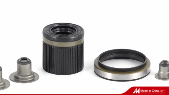 Oil Seal/Bonded Seal/O Ring/Silicone Rubber Part Product/Customize Rubber Seal for Automotive Industry